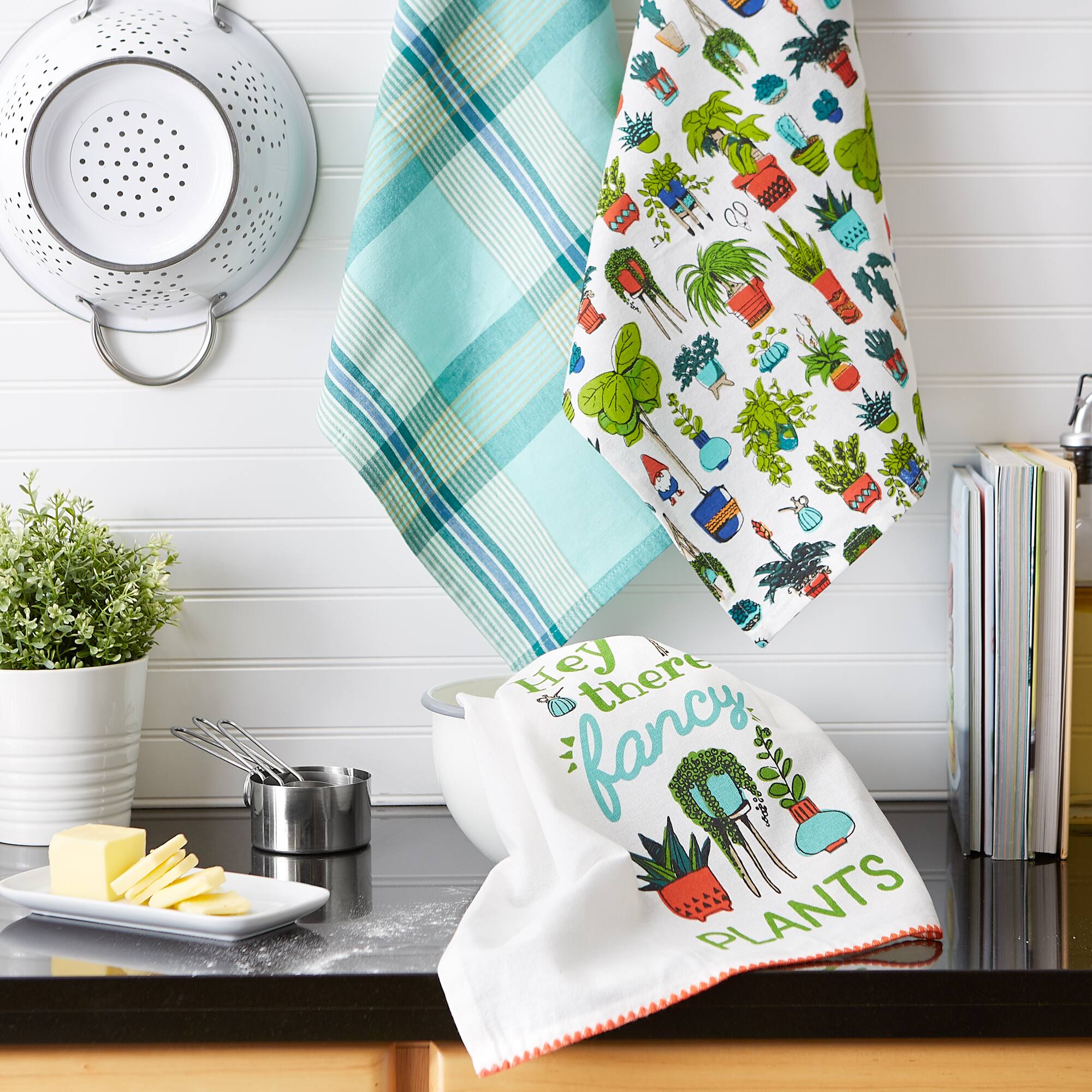 Hey There Fancy Plants Dishtowel (Set of 3)